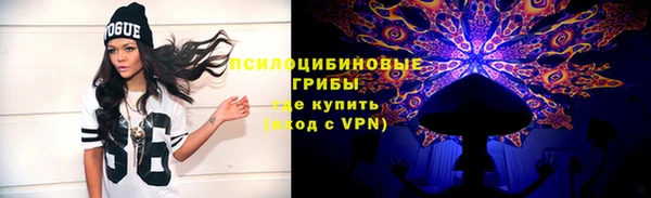 твердый Богородицк