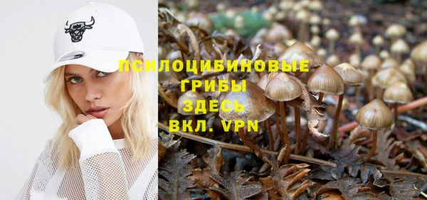тгк Богданович