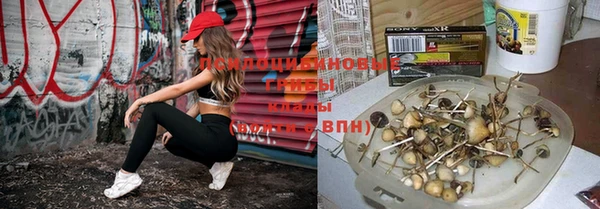 круглые Баксан
